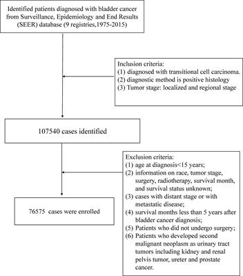 Risk and prognosis of secondary malignant neoplasms after radiation therapy for bladder cancer: A large population-based cohort study